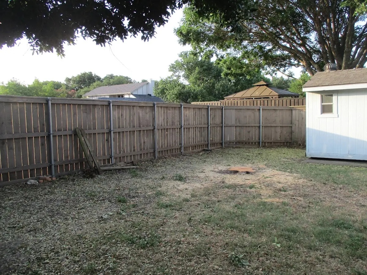 Cleared yard after professional tree removal in Purcellville
